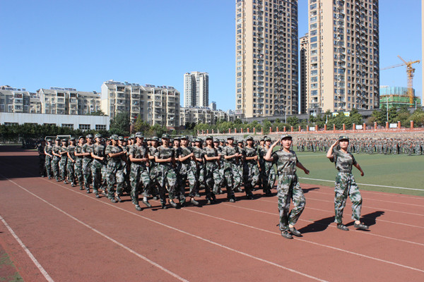 3_67992.jpg
