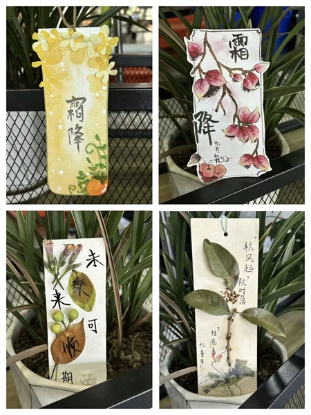 1730360520264396.jpg 照片一.jpg