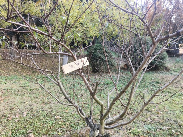 微信图片_20251130172729_1656_51.jpg